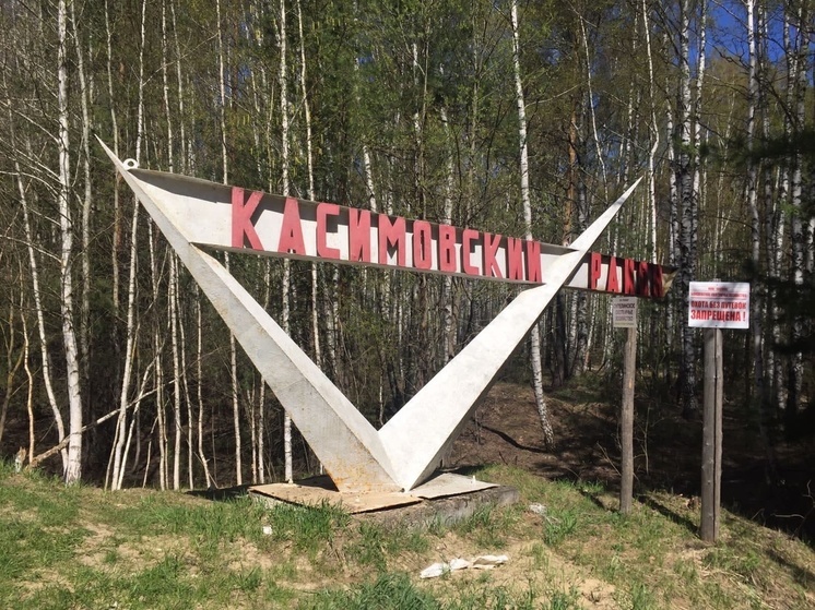 На ремонт моста через Сынтулку под Касимовом выделили более ₽265,5 млн