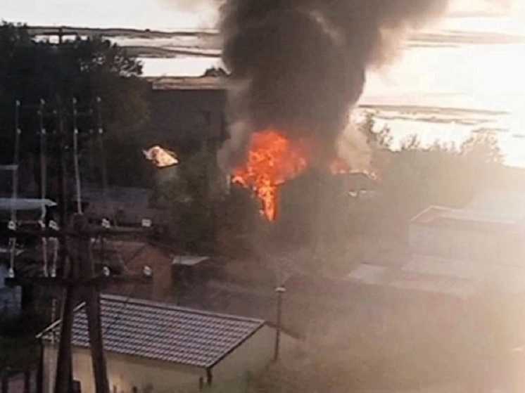 Около очистных сооружений в Коле ликвидировали пожар