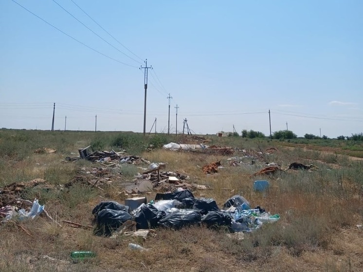 В районе Калмыкии ликвидируют несанкционированную свалку