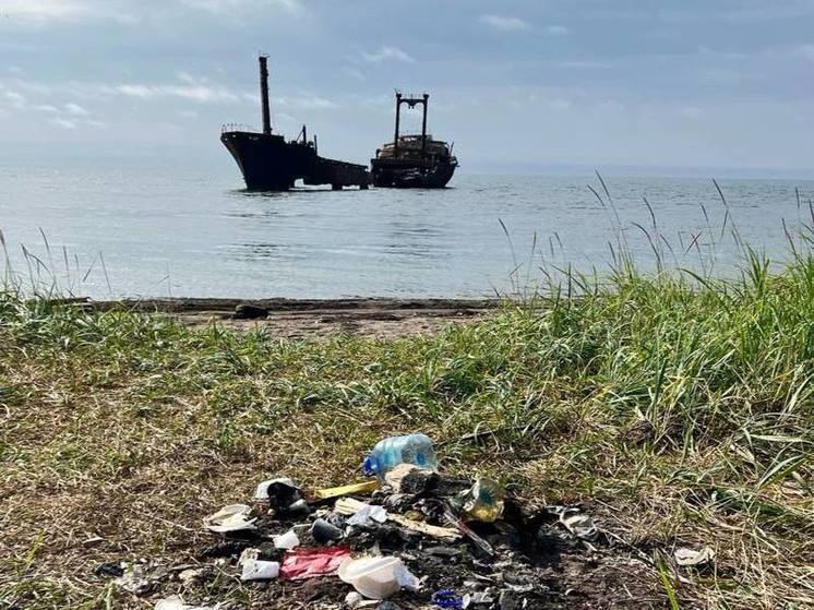 В Углегорске любимое место отдыха горожан превратили в свалку