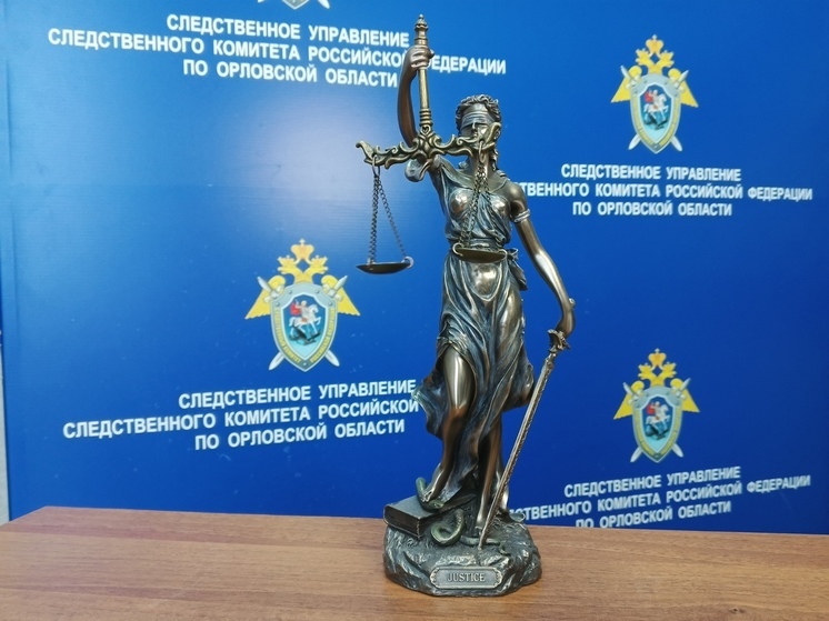 В Орле мужчины на волейбольной площадке избили подростка