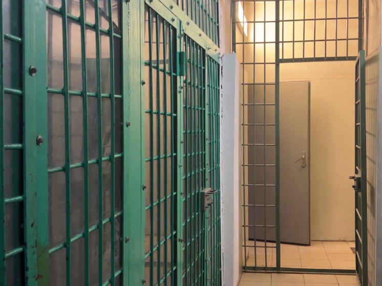 Полиция расследует обстоятельства массовой драки в Красногорске