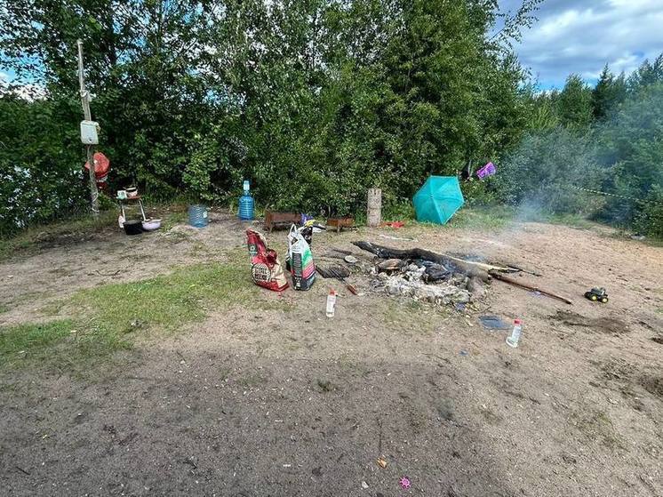 В четырех районах Ленобласти оштарфовано более 20 человек за шашлыки на природе