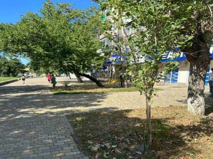 В Новороссийске проводится мониторинг санитарного состояния территорий, прилегающих к предприятиям торговли