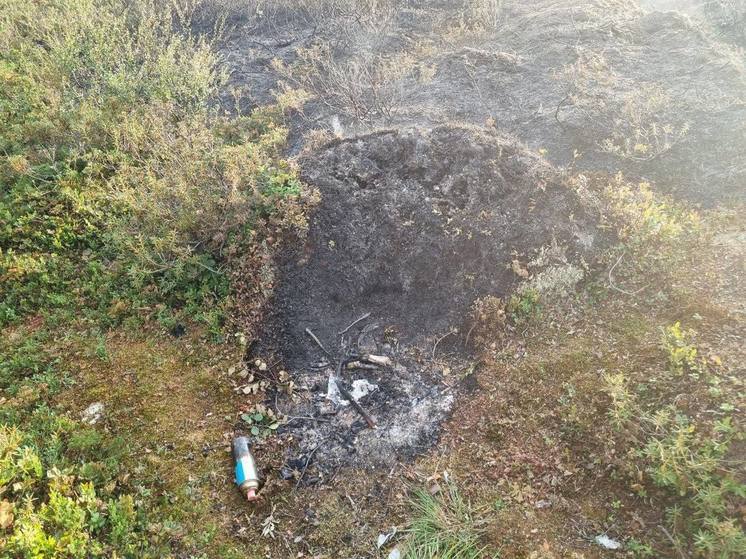 Мурманский гид со слезами на глазах прошла по следам пожара на Рыбачьем