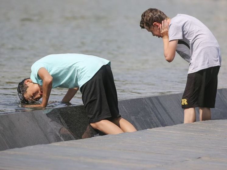 Вильфанд рассказал о спорах ученых о самом жарком дне за время метеонаблюдений