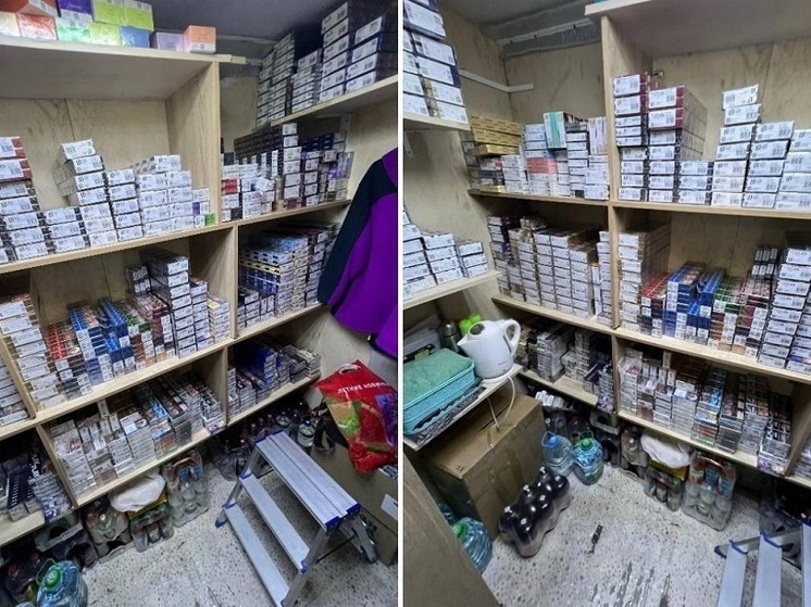 Полицейские изъяли более 1250 пачек сигарет из торговой точке в Рязани