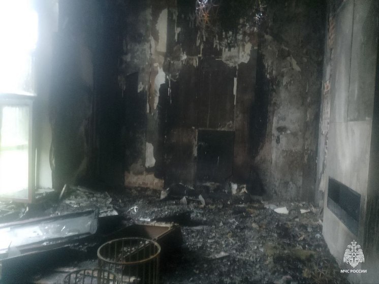 После пожара в коттедже у школьницы ожоги 99% тела