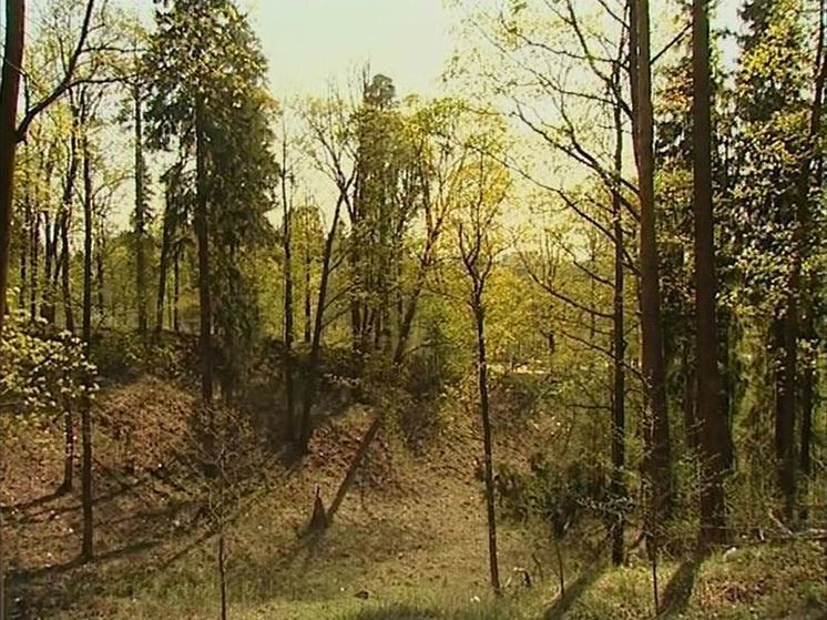 В Ленобласти 15 августа будет жарко, до +26 градусов