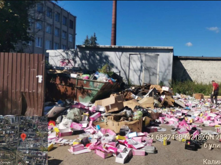 Калининградский предприниматель устроил свалку обуви на контейнерной площадке