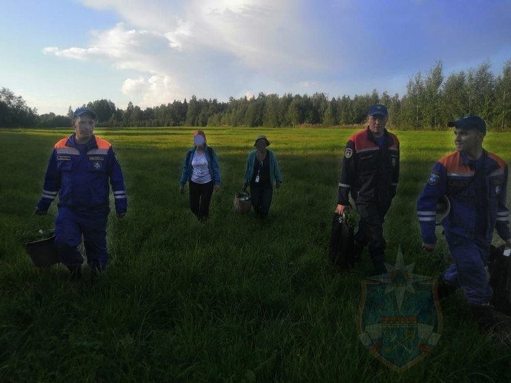 Поисковики вывели из леса заблудившихся женщин в Приозерском районе