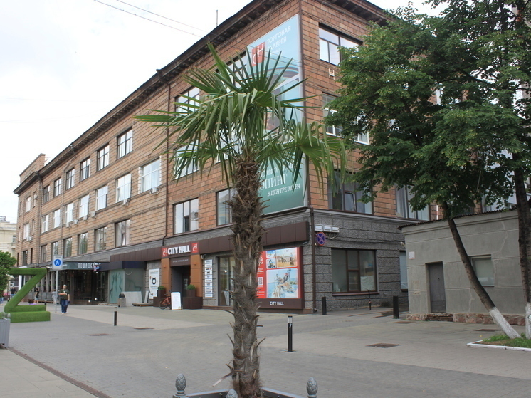 Для Красноярска закупят пальмы и туи за 4 млн рублей