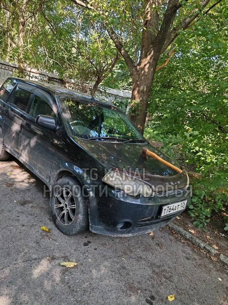 Топор воткнули в автомобиль во Владивостоке