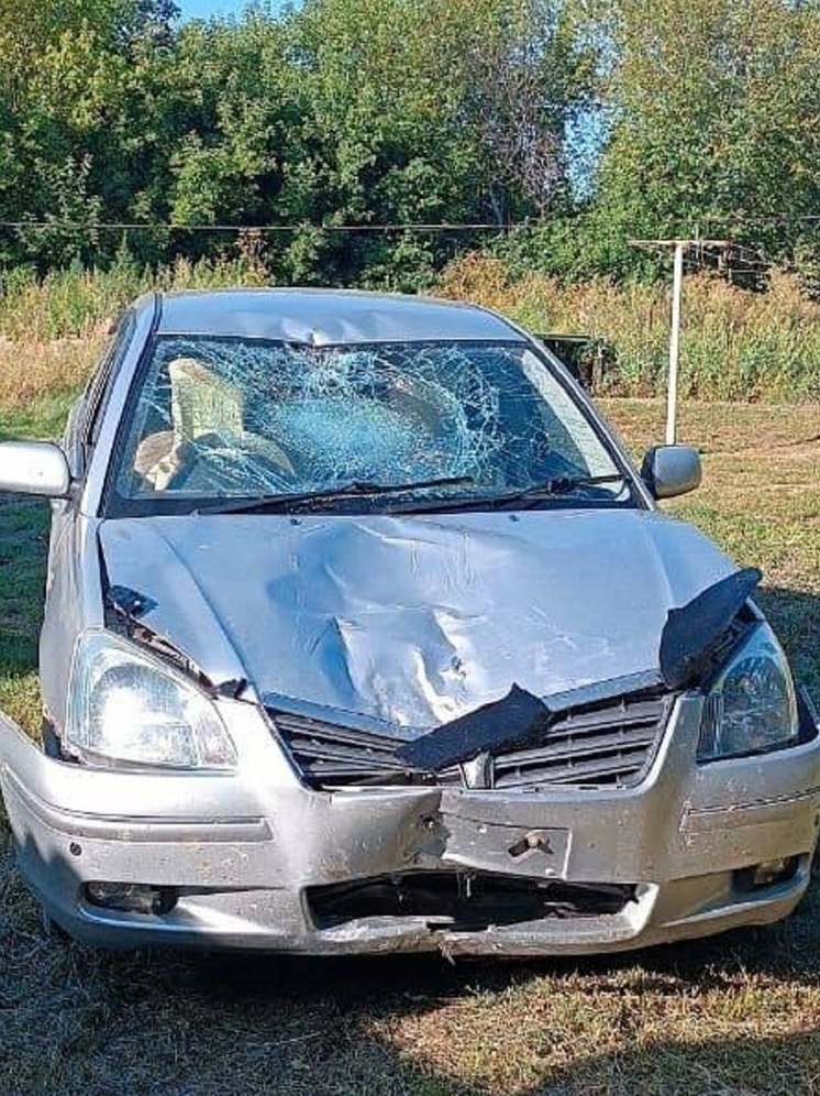 В Алтайском крае двое несовершеннолетних госпитализированы после ДТП с мотоциклом