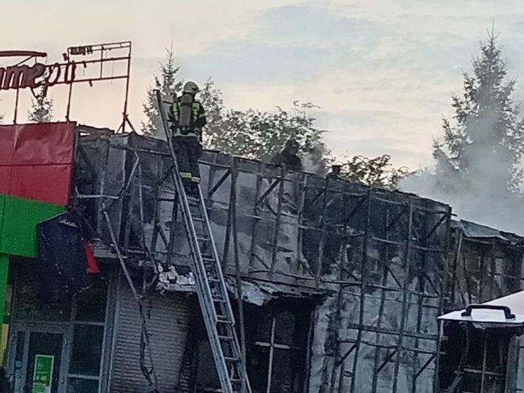 В Набережных Челнах подожгли магазин «Пятерочка»