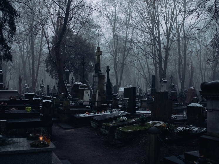 Россельхознадзор нашёл кладбище на земле сельхозназначения в Прионежье