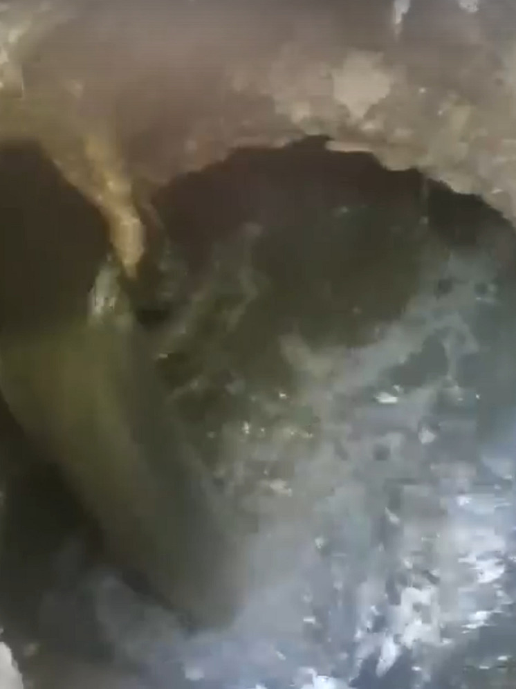 В Тверской области 10-летний мальчик снял на видео опасный для жизни объект