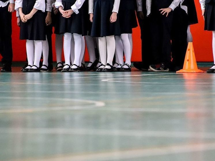 Милонов предложил ввести в школах форму в стиле императорской России