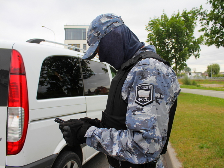 Калининградское ЖЭУ заплатило 660 тысяч рублей за упавшее на автомобиль дерево