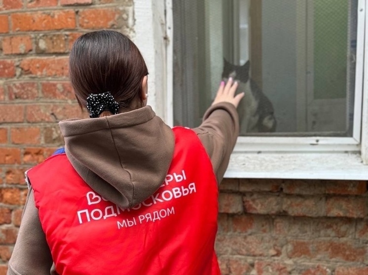 Волонтеры Протвино посетили приют