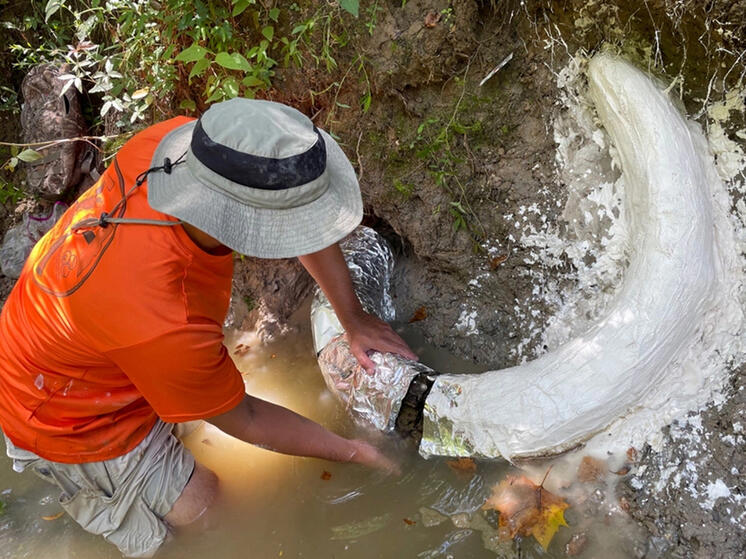 The fossil belonged to a relative of the woolly giant