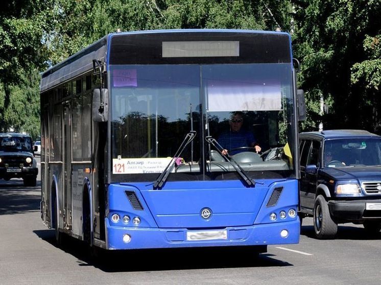 В Республике Алтай появится государственный автоперевозчик