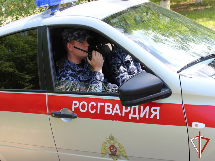 В Морках сотрудники Росгвардии задержали гражданина, разыскиваемого правоохранителями региона