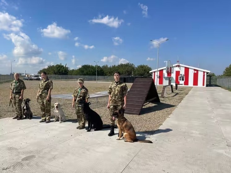 В краснодарском аэропорту открылся кинологический комплекс