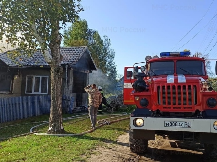 Второклассник в брянском поселке Ивот вынес из огня младшего брата