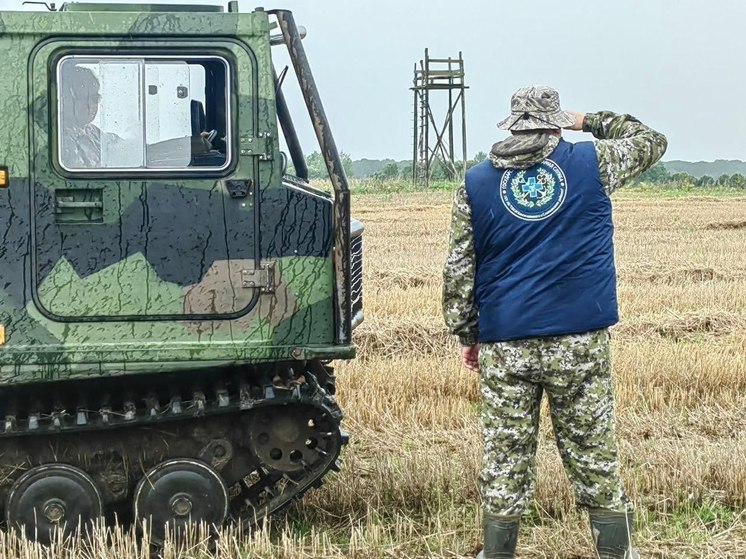 В Ленобласти ветеринары провели рейд в поисках павших животных