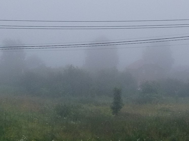 Погода в Ленобласти 16 августа: ночью без осадков, утром туман, днем до +27 градусов