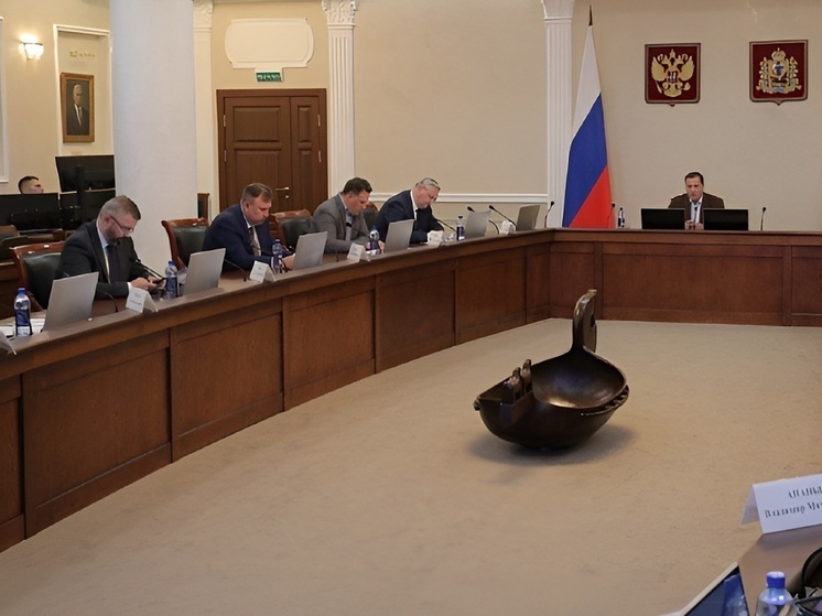 В Поморье беспилотные авиационные системы планируется применять сразу в нескольких отраслях