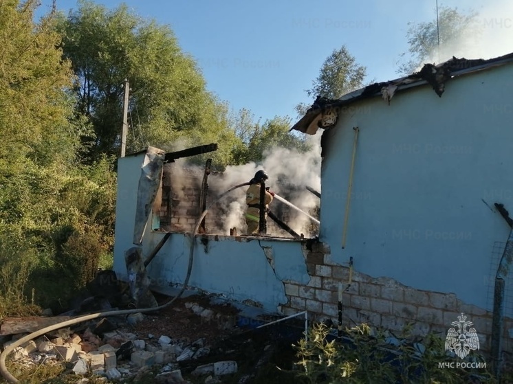 Пожар практически полностью уничтожил дом в Орловской области