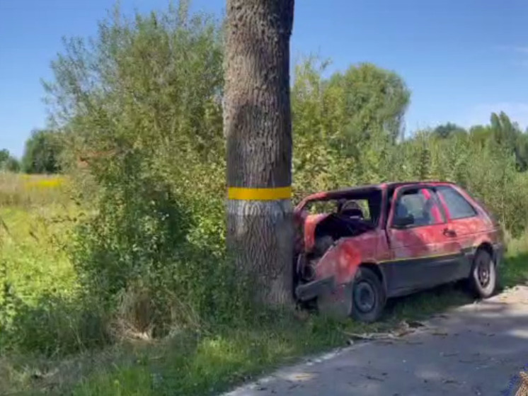 Из больницы выписали малыша, выжившего в ДТП в Гурьевском районе