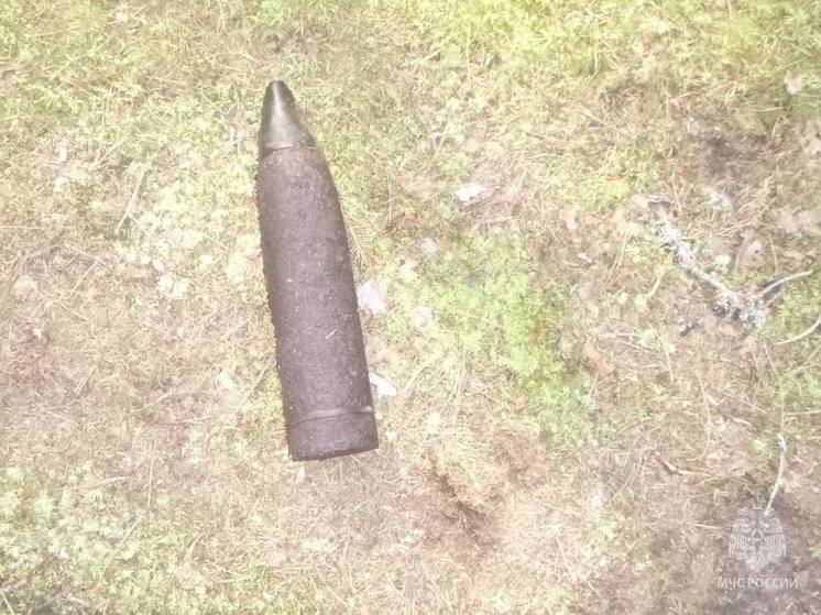 Рядом с деревней в Тверской области нашли артиллерийский снаряд