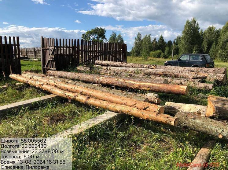 Калининградские лесничие обнаружили очередную незаконную порубку