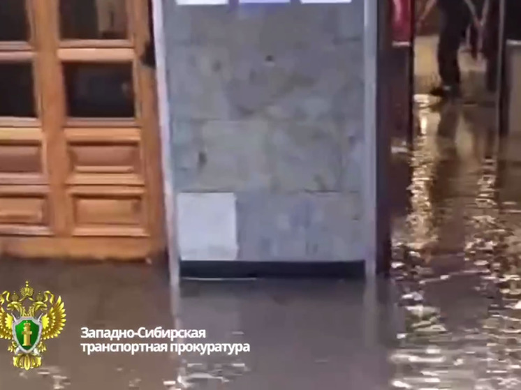Прокуроры потребовали защитить пассажиров вокзала «Новосибирск-Главный» от дождя