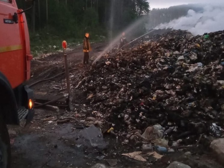 Прокуратура потребовала потушить пожар на мусорном полигоне в Медвежьегорске