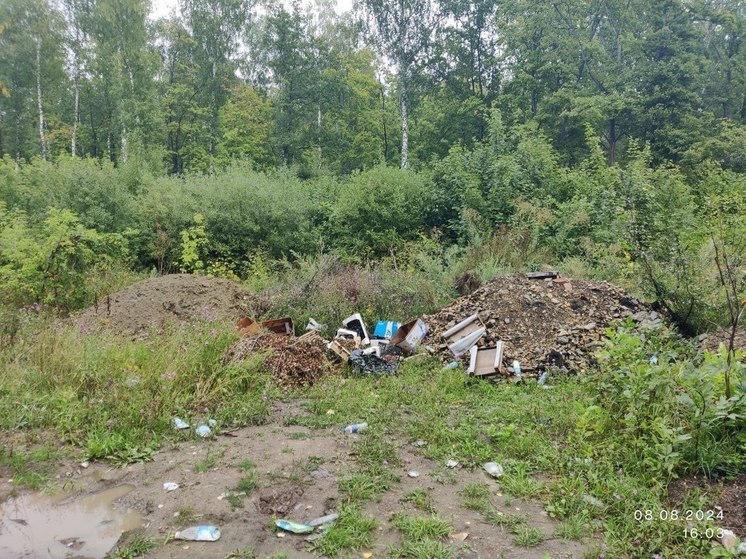 Пензенцы превращают арбековский лес в свалку