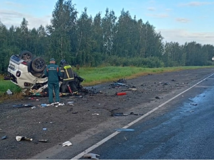 Грузовик влетел в легковушку в Зауралье: один погиб, трое травмированы