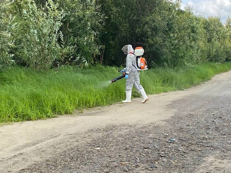 В Нижневартовске началась обработка пострадавших от паводка территорий