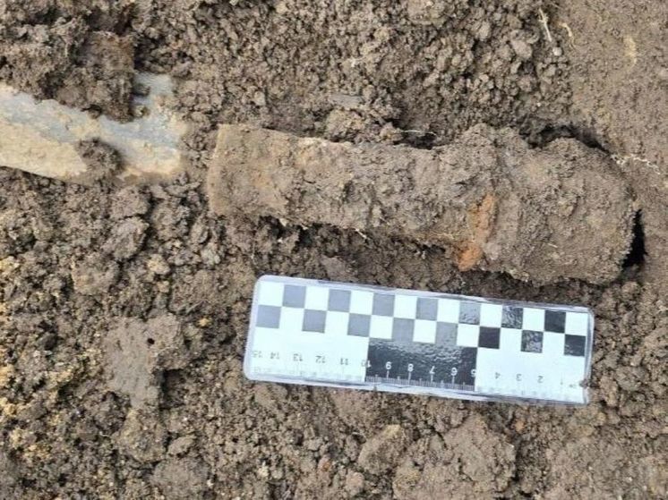 Гранату нашел на своем участке житель Дмитровского округа