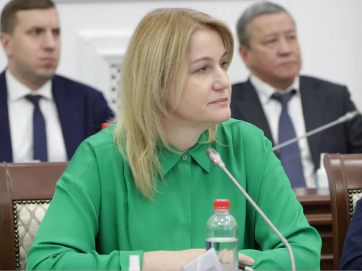 Элеонора Шевченко может уйти с должности зампреда тульского правительства