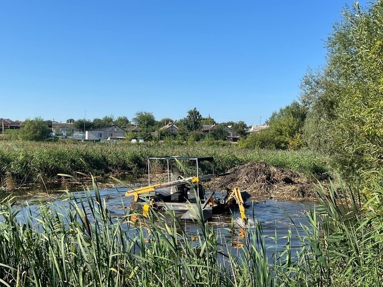 В селе Мелихово Белгородской области очищают водоем