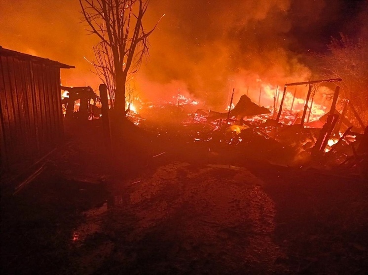 В Холмогорском округе огонь уничтожил 24 погреба и 3 надстройки