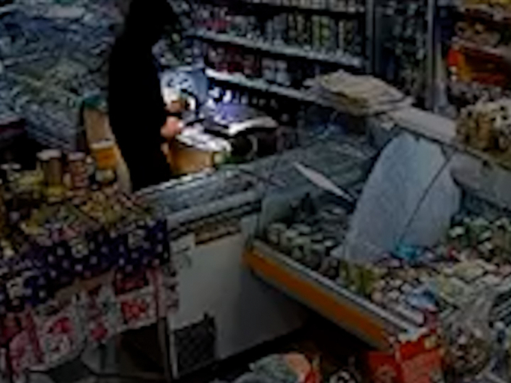 В Плесецком округе задержали серийного разбойника