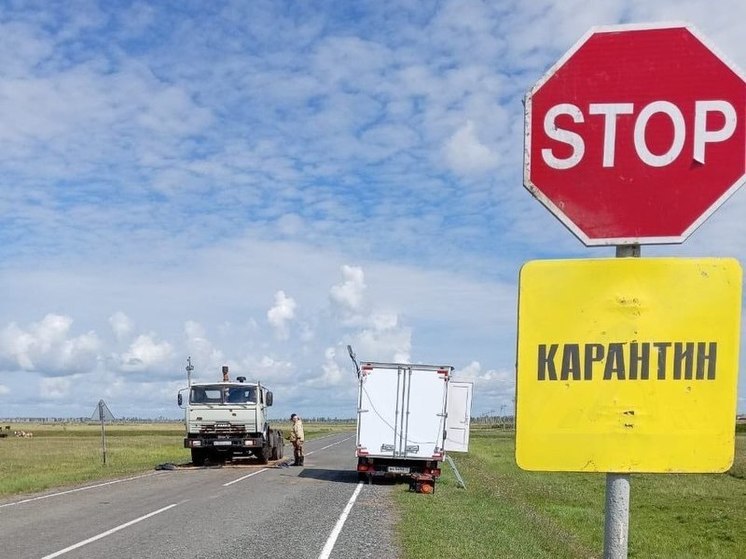 В тюменском селе введен режим ЧС по оспе овец и свиней
