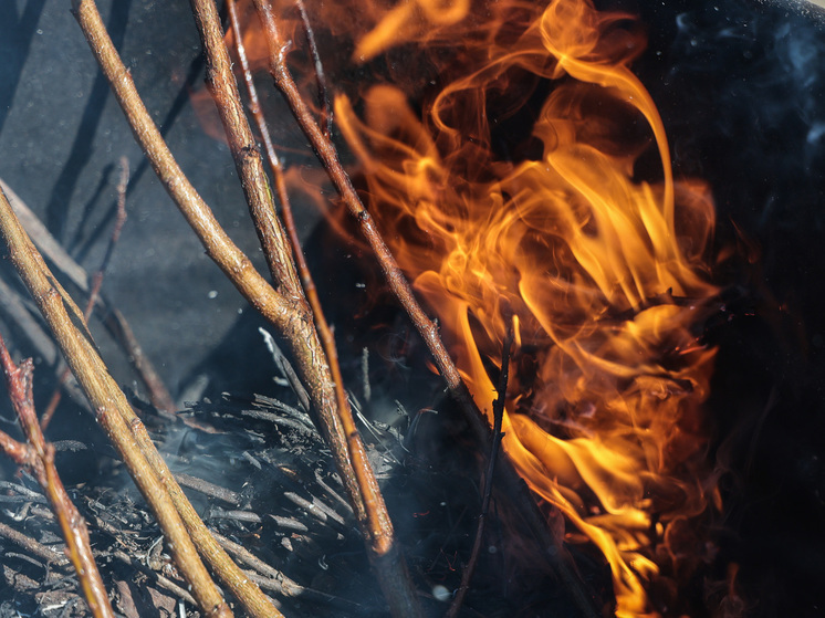 Странного поджигателя травы задержали в Геленджике