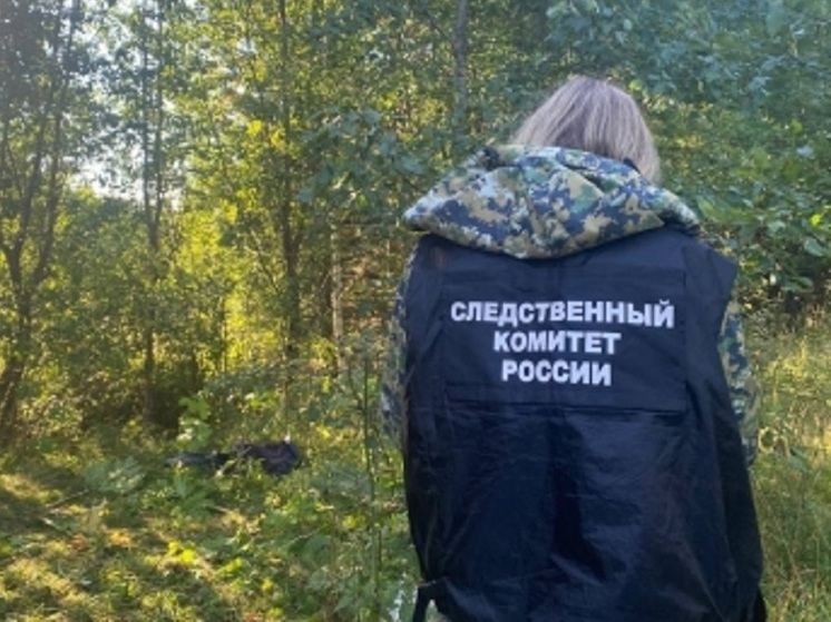 В Пестовском районе мужчину обвиняют в убийстве своего знакомого