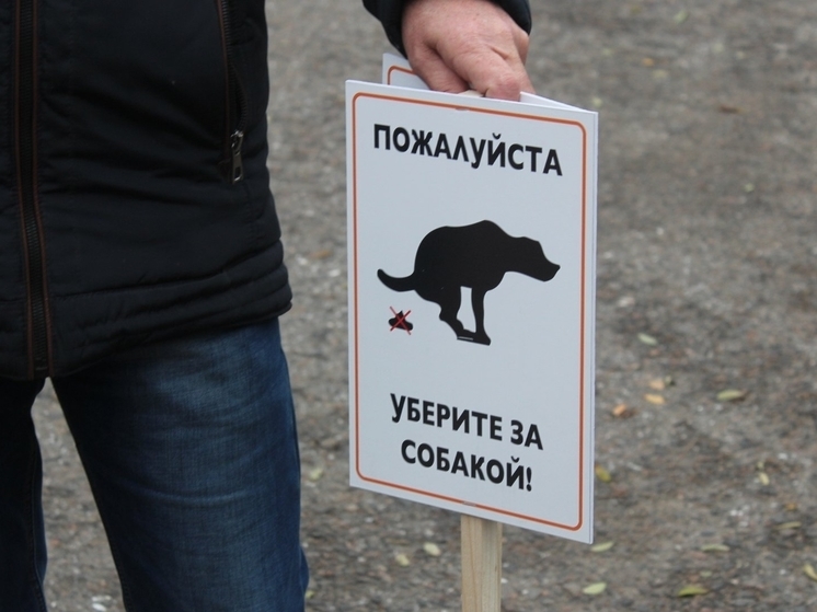 В одном из ярославских дворов территорию не могут поделить собачники и дети